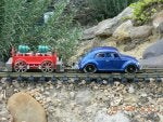 RailBeetle2011.JPG